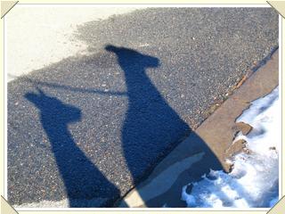 merlin and twylas shadows