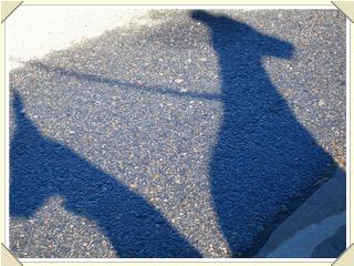merlin and twyla shadows