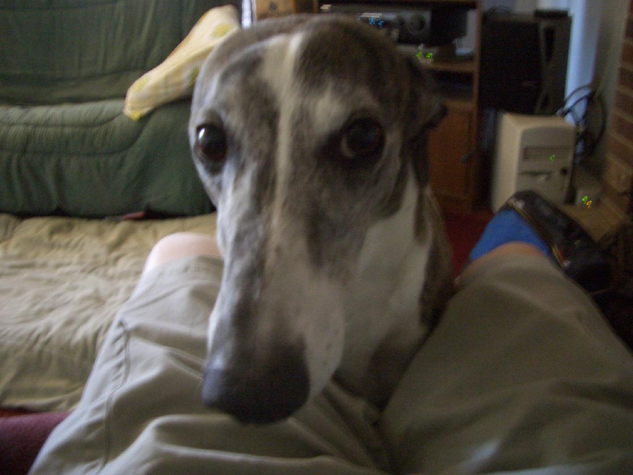20040506170833-1280.jpg