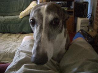 20040506170833-320.jpg