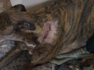 20040506170905-320.jpg