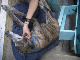 20040613150905-320.jpg