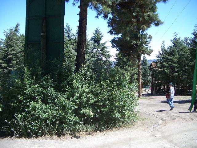 20040619110250-640.jpg