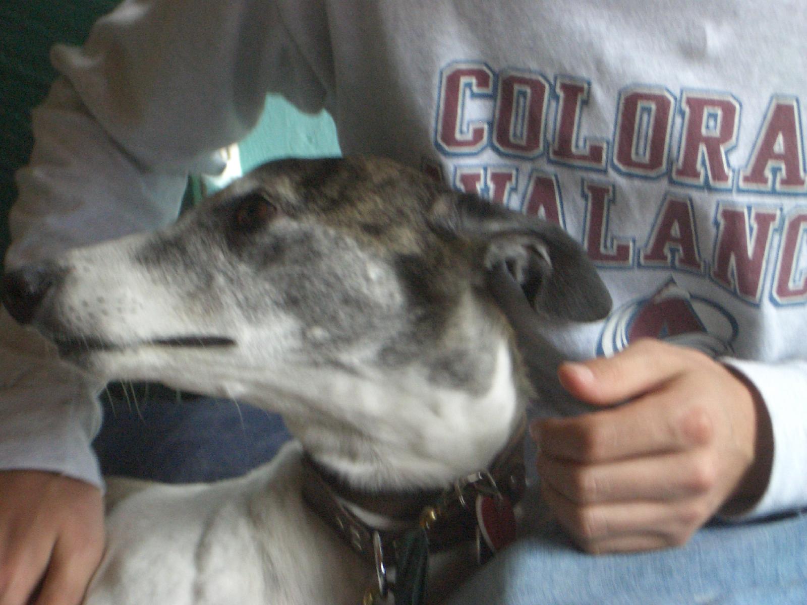 20040620154052-1600.jpg