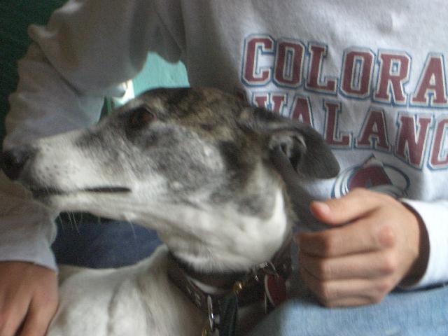 20040620154052-640.jpg