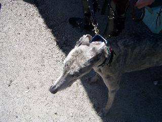 20040626103949-320.jpg