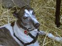 20040626135729-128.jpg