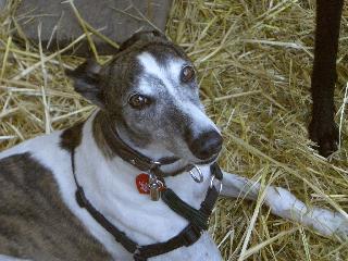 20040626135729-320.jpg