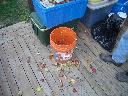 20040830185231-128.jpg