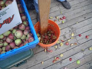 20040830185247-320.jpg