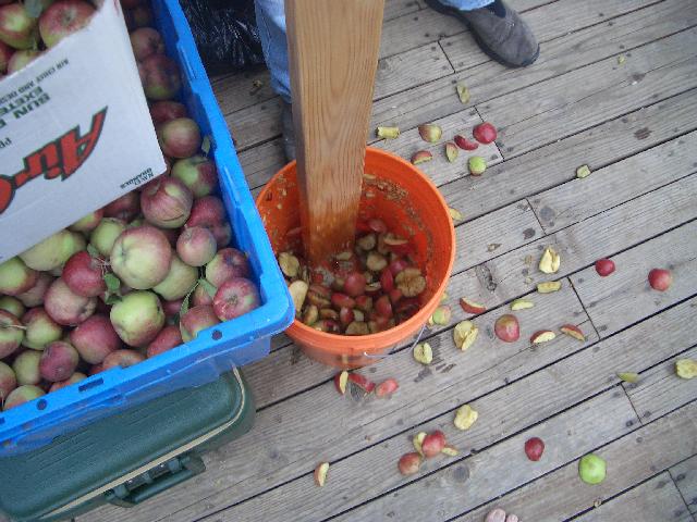 20040830185247-640.jpg
