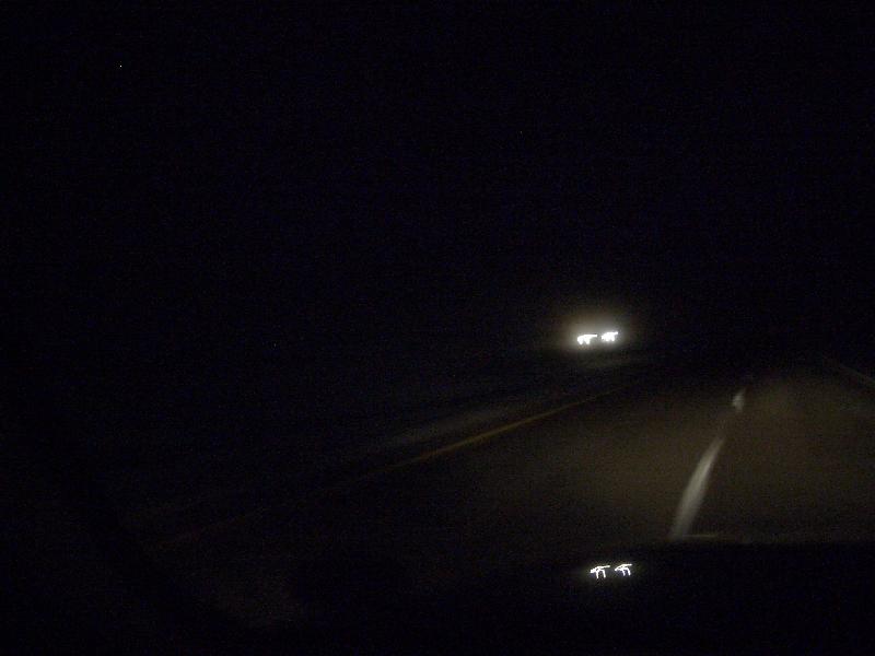 20041124214239-800.jpg