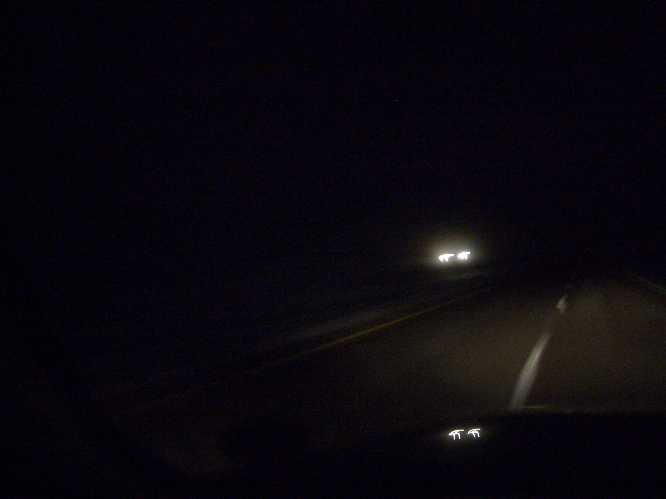 20041124214239.jpg