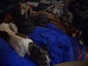 20041124224310-128.jpg