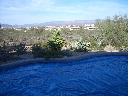 20041125160309-128.jpg