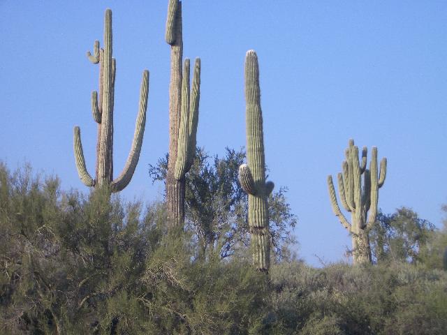 20041126164051-640.jpg