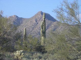 20041126164327-320.jpg