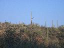 20041126171355-128.jpg