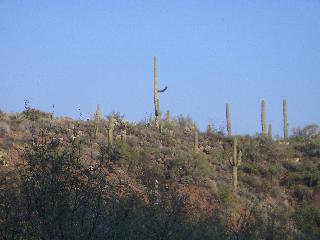 20041126171355-320.jpg