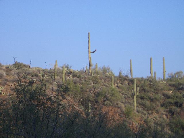 20041126171355-640.jpg