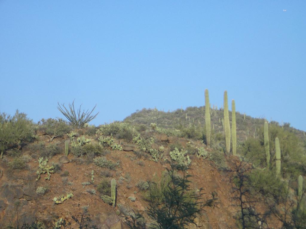 20041126171402-1024.jpg