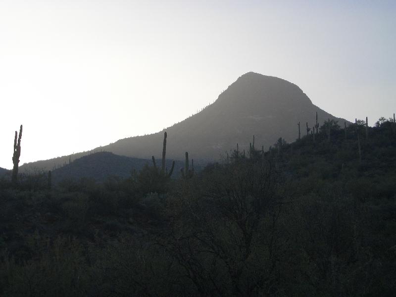 20041126173138-800.jpg