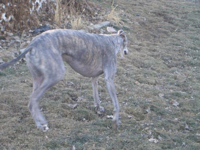 20050120164943-640.jpg
