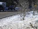 20050123133737-128.jpg