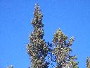 20050123134057-128.jpg