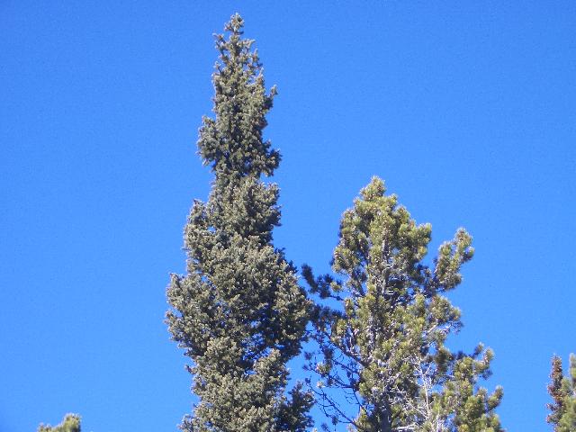 20050123134057-640.jpg