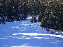 20050123140148-128.jpg