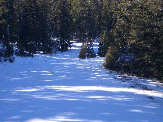 20050123140148-320.jpg