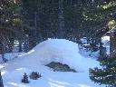 20050123141948-128.jpg