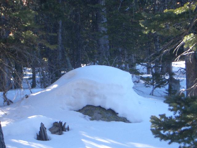 20050123141948-640.jpg