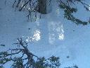 20050123142814-128.jpg