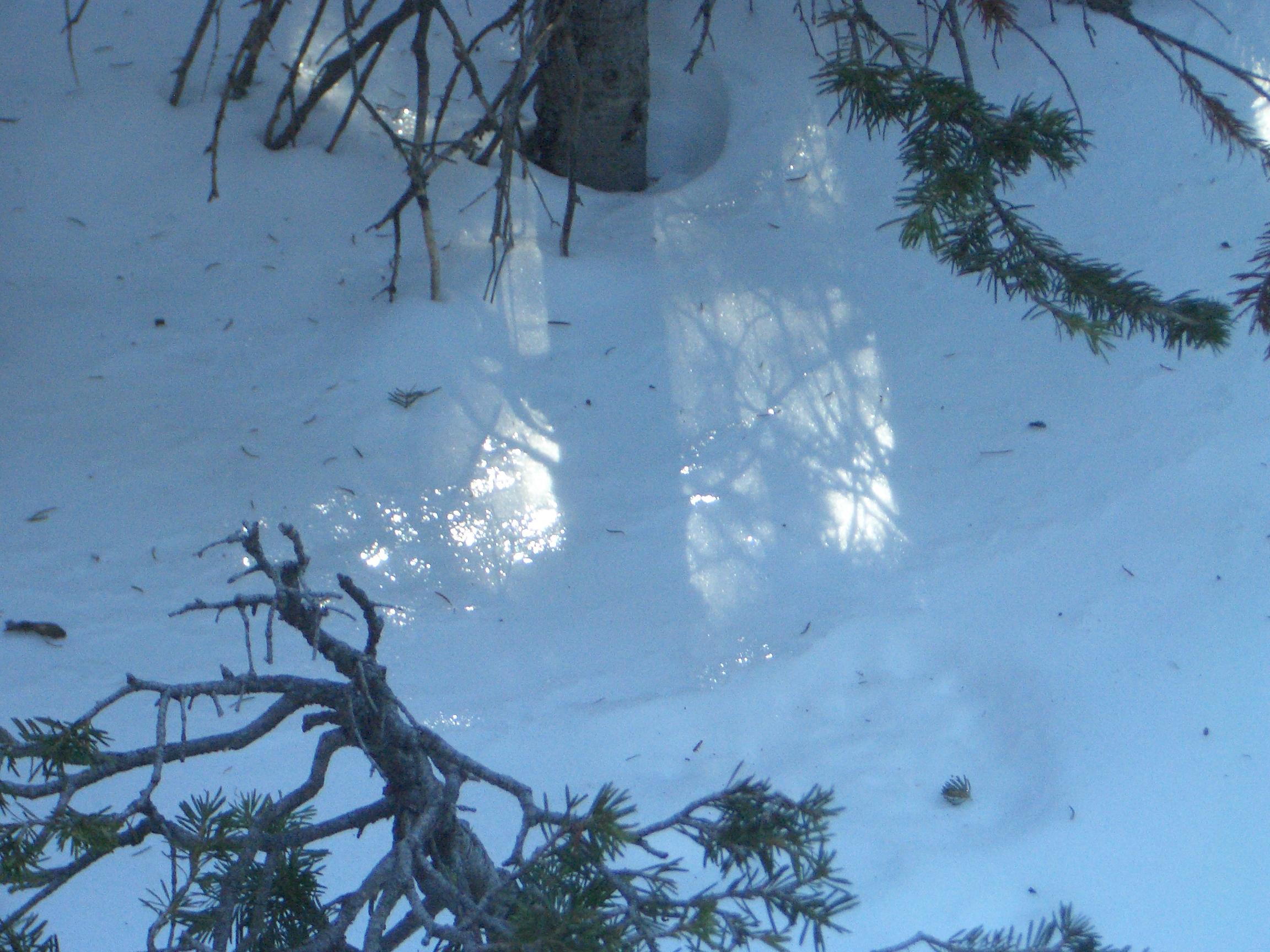 20050123142814.jpg