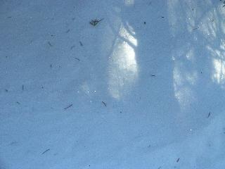20050123142823-320.jpg