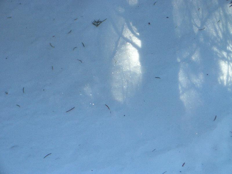20050123142823-800.jpg