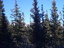 20050123143943-128.jpg