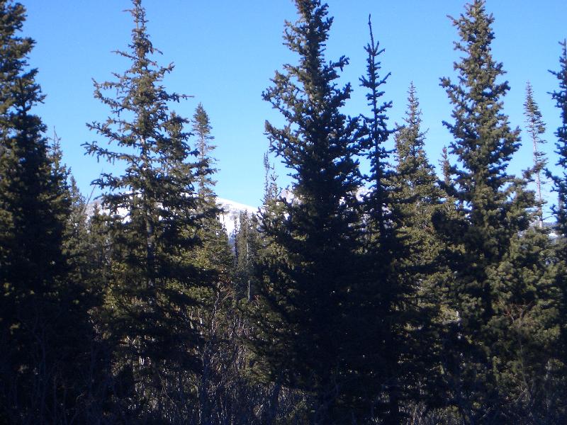 20050123143943-800.jpg