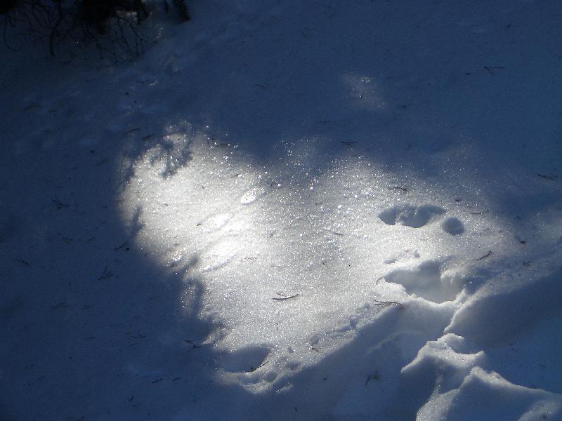 20050123145132-800.jpg
