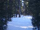 20050123145139-128.jpg