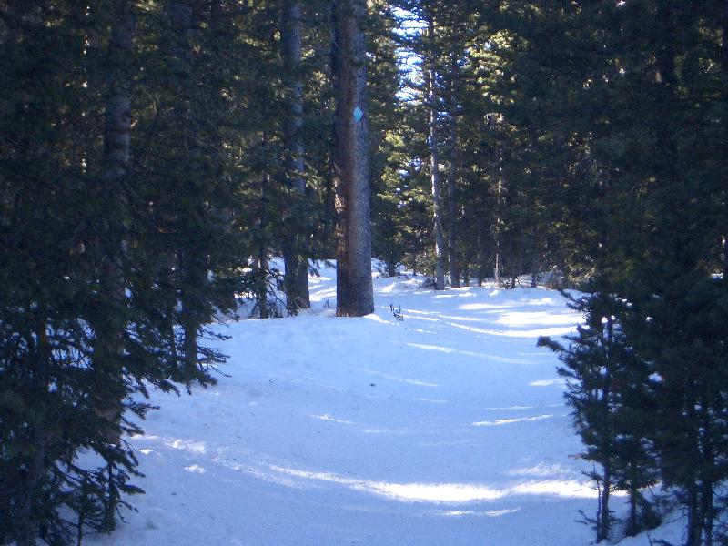 20050123145139-800.jpg