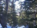 20050123145637-128.jpg