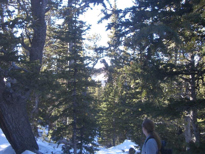 20050123145637-800.jpg