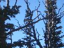20050123145742-128.jpg