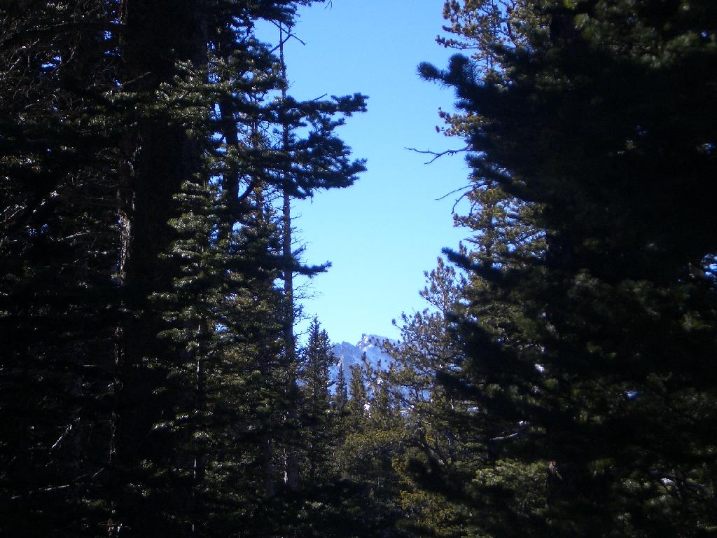20050123150805-1024.jpg