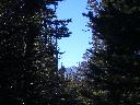20050123150805-128.jpg