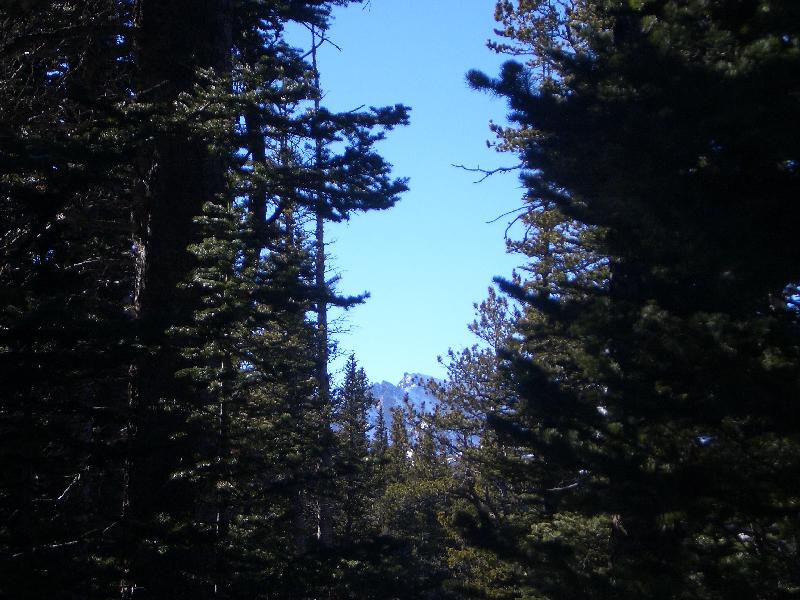 20050123150805-800.jpg