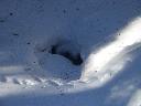 20050123151527-128.jpg